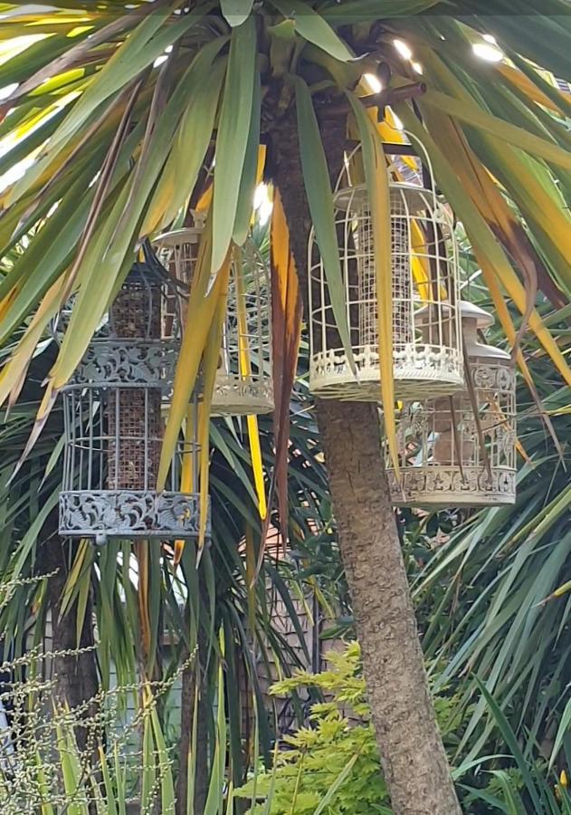 Tropical Garden Oasis Rooms Birmingham Buitenkant foto