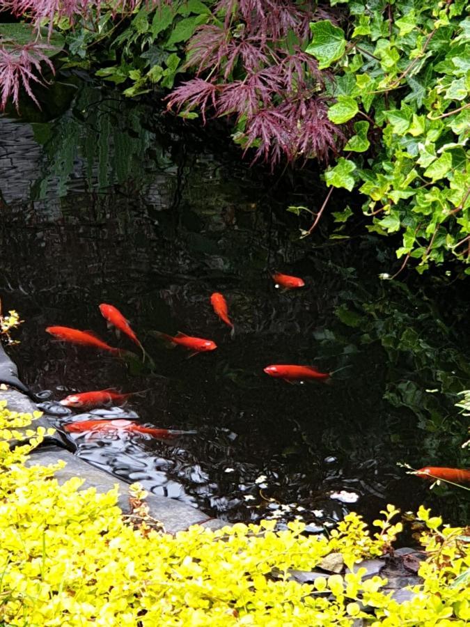 Tropical Garden Oasis Rooms Birmingham Buitenkant foto