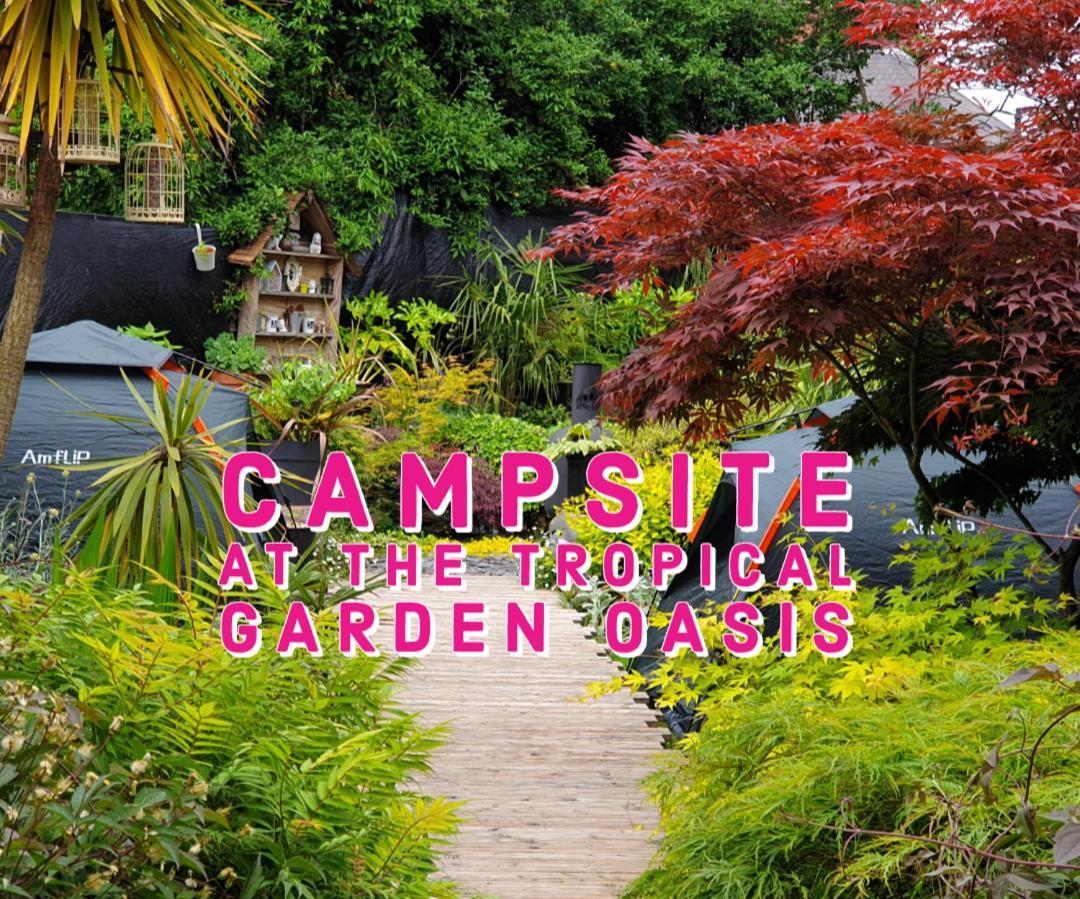 Tropical Garden Oasis Rooms Birmingham Kamer foto